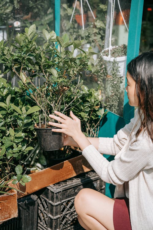 有关专注于前景, 中等人群, 侧面图的免费素材图片
