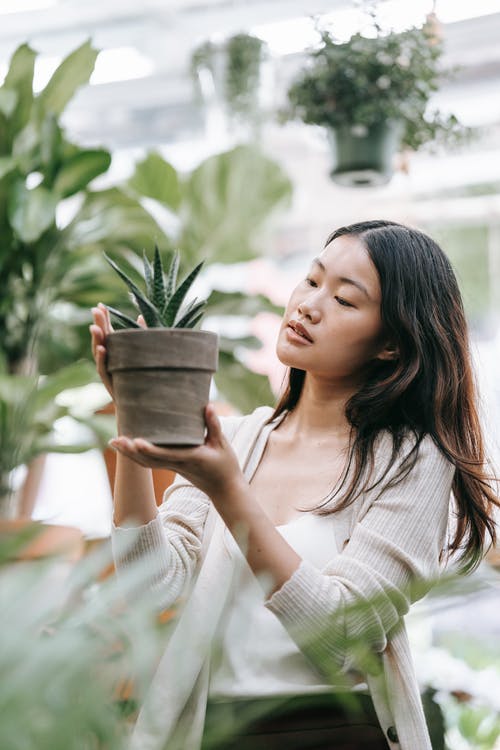 有关中等人群, 侧面图, 多肉植物的免费素材图片