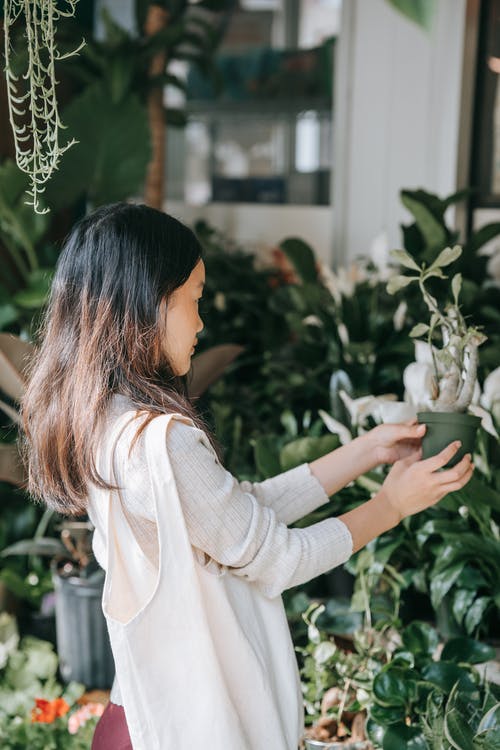 有关专注于前景, 举起手臂, 和谐的免费素材图片