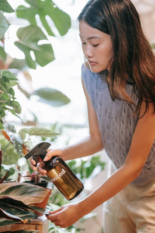 有关专注于前景, 侧面图, 天的免费素材图片