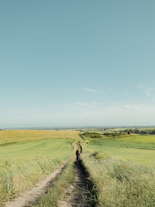 有关农村, 树丛, 没有铺面的人行道的免费素材图片