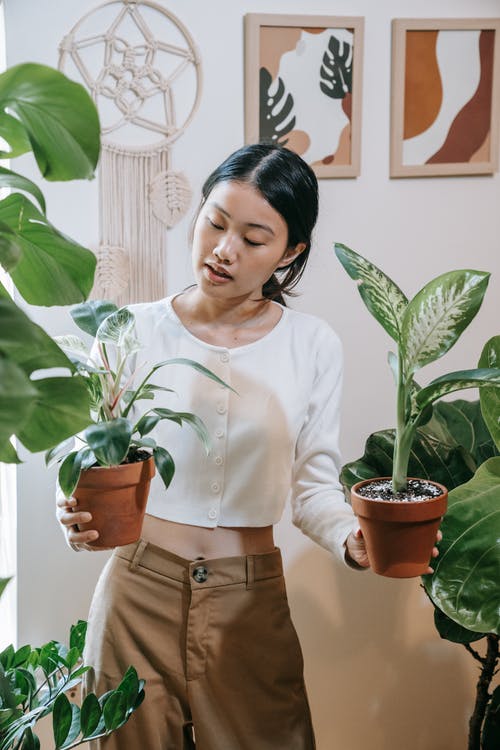 有关垂直的, 室内, 家的免费素材图片