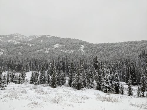 有关下雪, 下雪的天气, 冬天的背景的免费素材图片