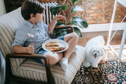 有关儿童, 吃, 坐的免费素材图片