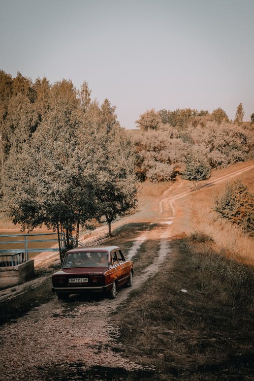 有关автомобиль, деревья, дорога的免费素材图片