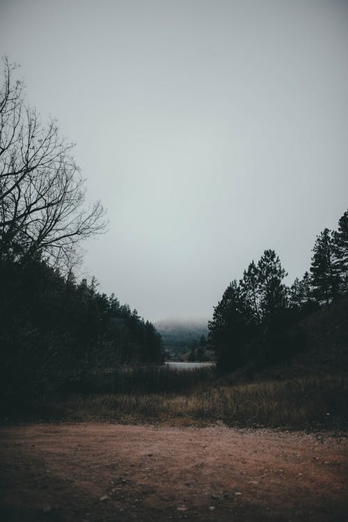 有关土, 坏心情, 天性的免费素材图片