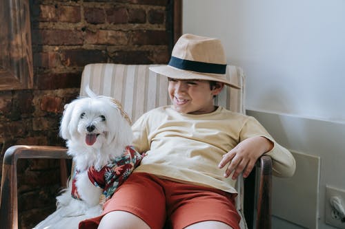 有关伸出舌头, 友谊, 可爱的免费素材图片