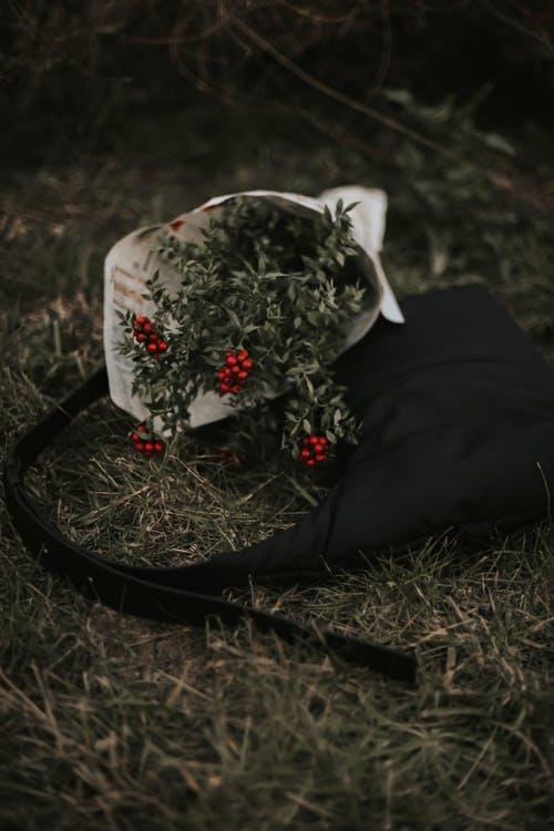 有关插花, 晕影, 树叶的免费素材图片