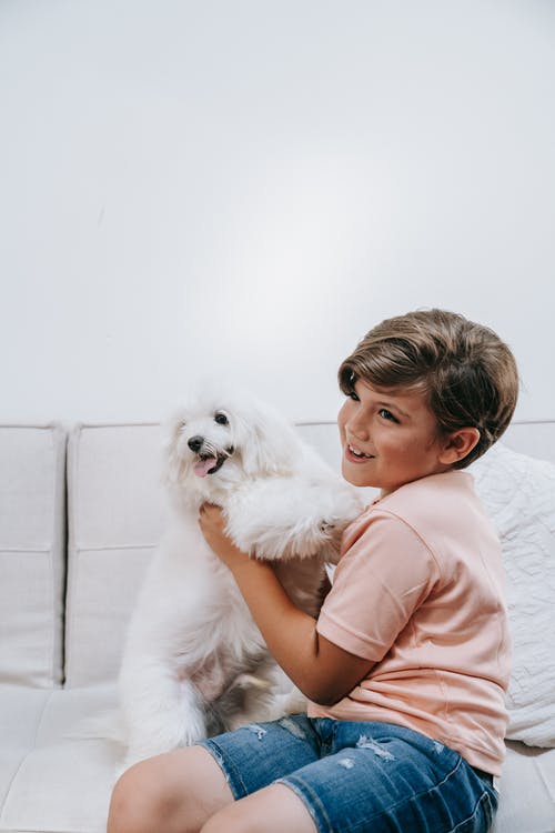 一个男孩抱着他可爱的狗 · 免费素材图片