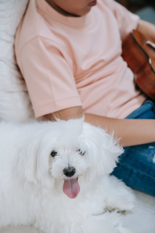 有关儿童, 可爱, 国内房间的免费素材图片