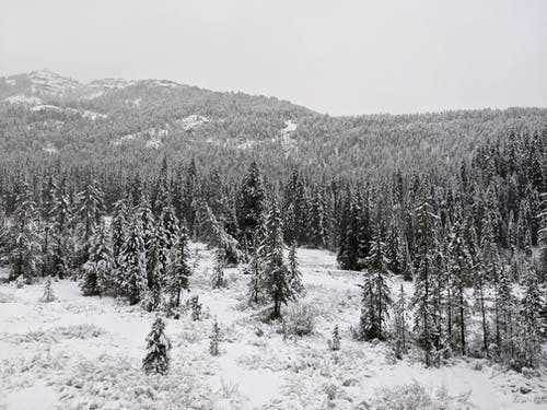 有关下雪, 下雪的天气, 冬天的背景的免费素材图片