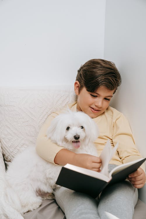 有关亲热, 动物, 友谊的免费素材图片