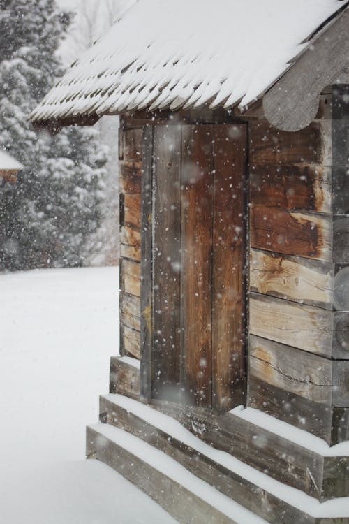 有关冬季, 冷, 冷冰的的免费素材图片