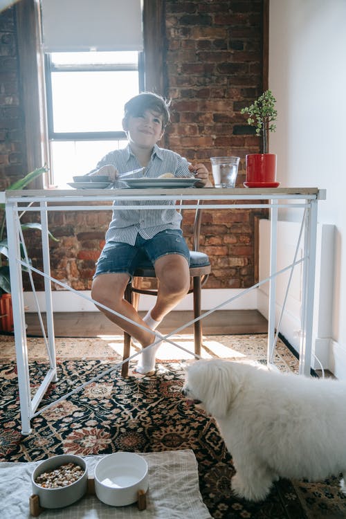 一个男孩和一条狗吃早餐 · 免费素材图片