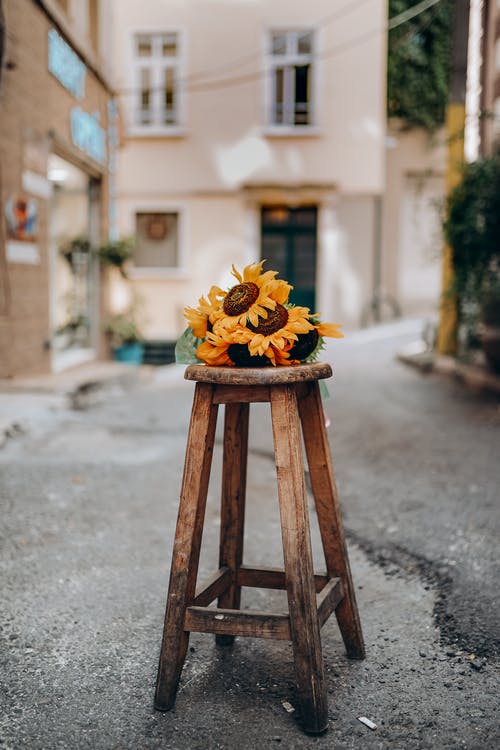 有关凳子, 向日葵, 梦想的的免费素材图片