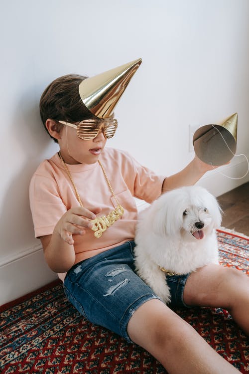 一个戴着派对帽的男孩和一只坐在他腿上的狗 · 免费素材图片