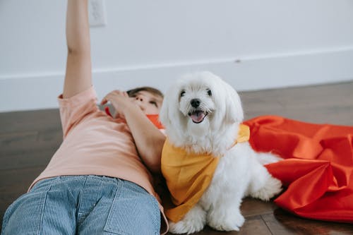 有关儿童, 动物, 可爱的免费素材图片