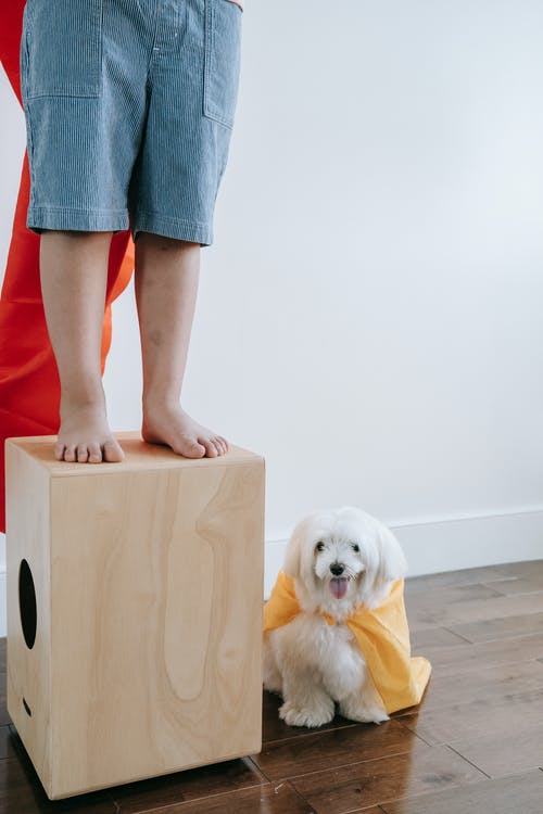 有关一起, 儿童, 可爱的免费素材图片