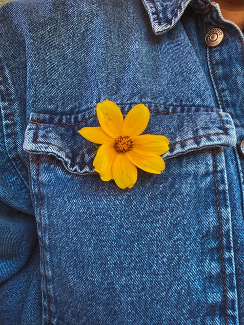 有关垂直拍摄, 微妙, 牛仔布的免费素材图片