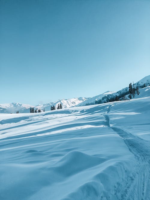有关冬季, 垂直拍摄, 大雪覆盖的免费素材图片