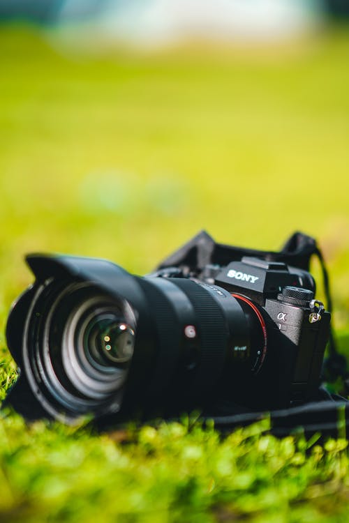 有关光圈, 专注, 数位相机的免费素材图片