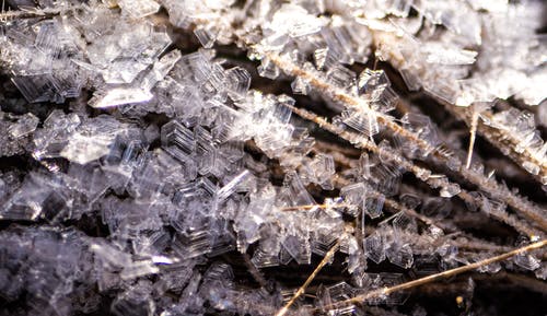 有关冬季, 冻结的, 微距摄影的免费素材图片