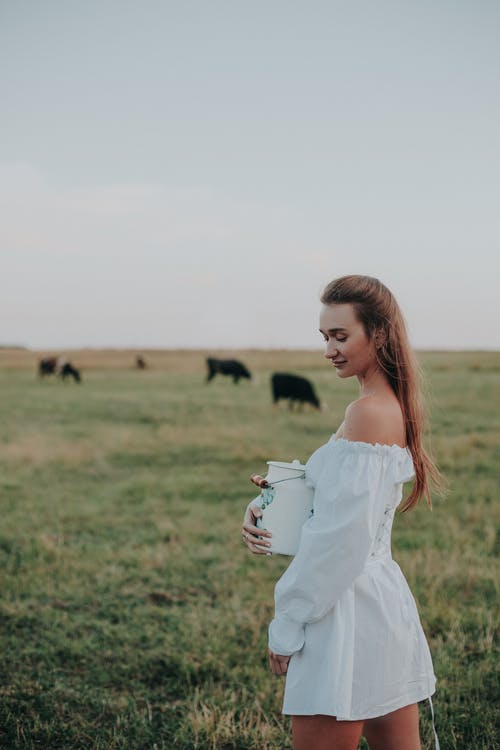有关村庄, 牛奶可以, 牧场草的免费素材图片