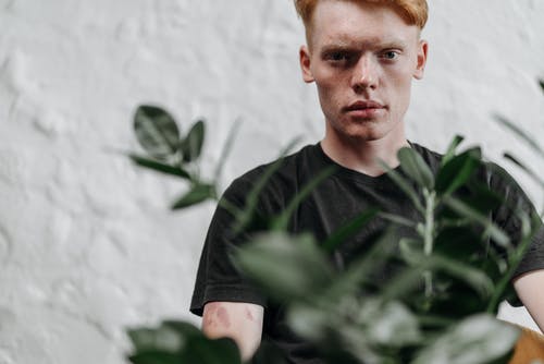 有关t恤, 专注于背景, 人的免费素材图片