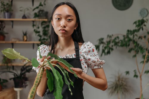 有关专注于前景, 天, 女人的免费素材图片