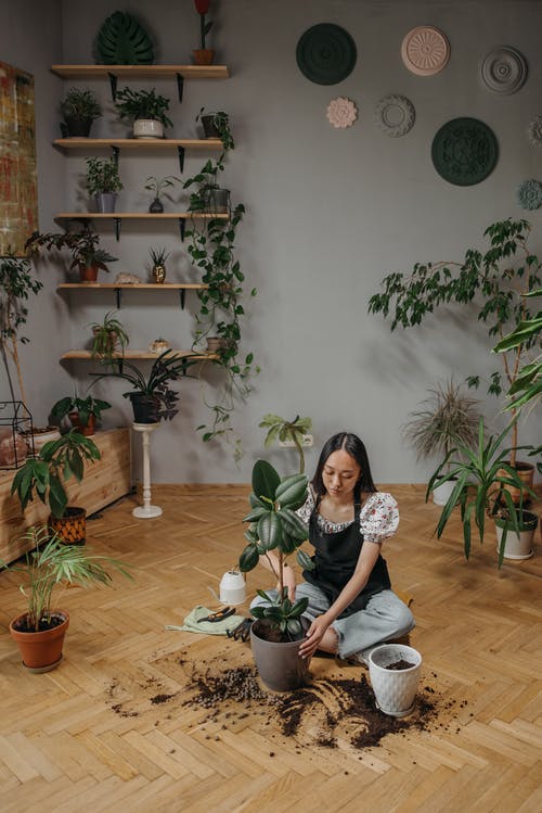 有关商店, 坐, 女人的免费素材图片