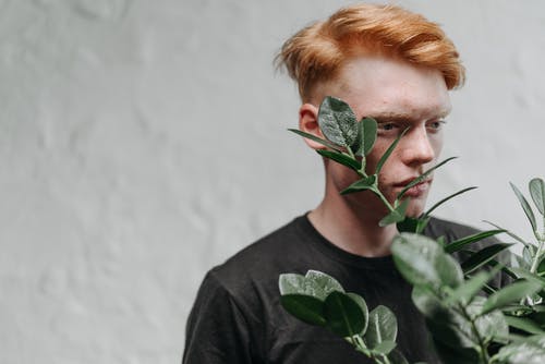 有关t恤, 人, 休闲服装的免费素材图片