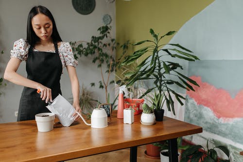 有关天, 女人, 室内的免费素材图片