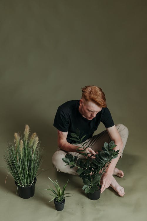 有关人, 垂直拍摄, 室内植物的免费素材图片