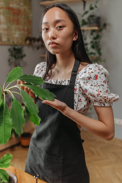 有关专注于前景, 商店, 天的免费素材图片