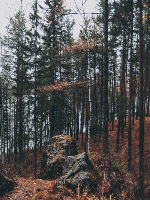 有关天性, 岩石, 户外的免费素材图片