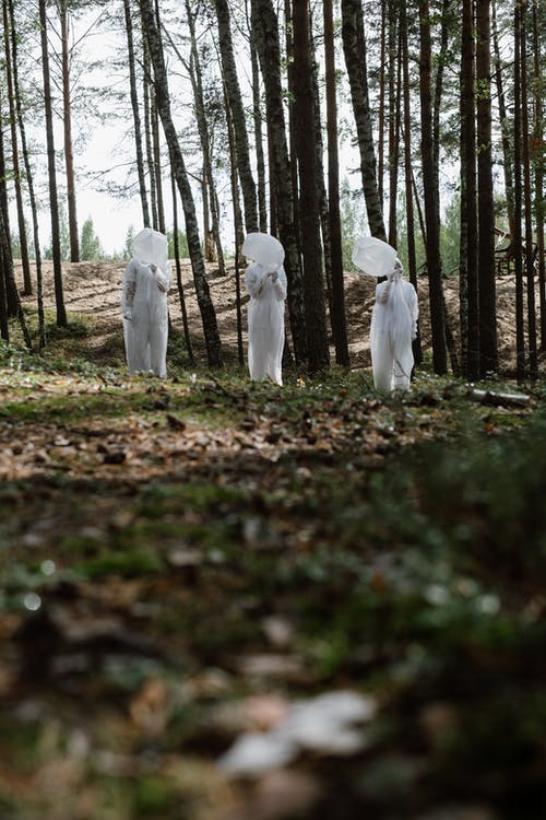 有关低角度视图, 保护, 天的免费素材图片