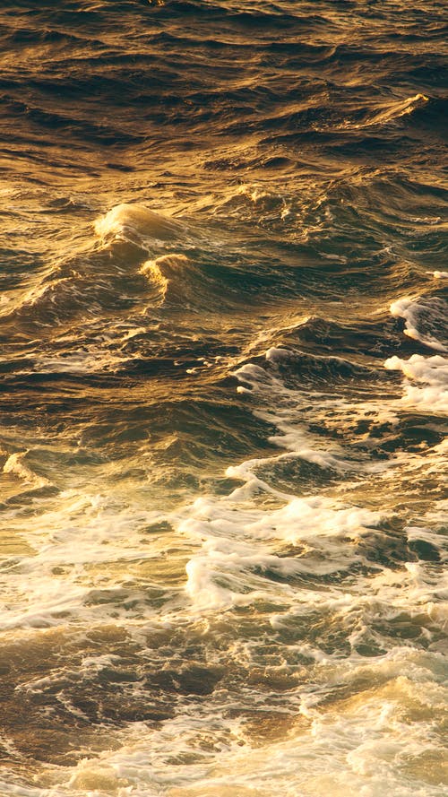 有关垂直拍摄, 招手, 日出的免费素材图片