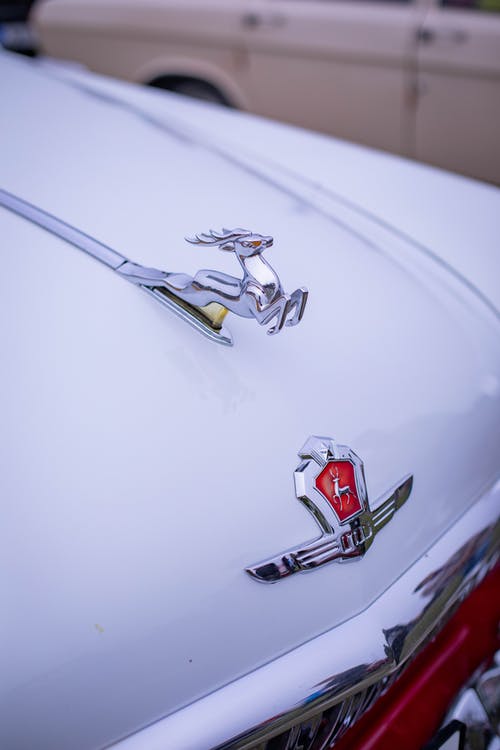 有关伏尔加, 兜帽, 徽章的免费素材图片