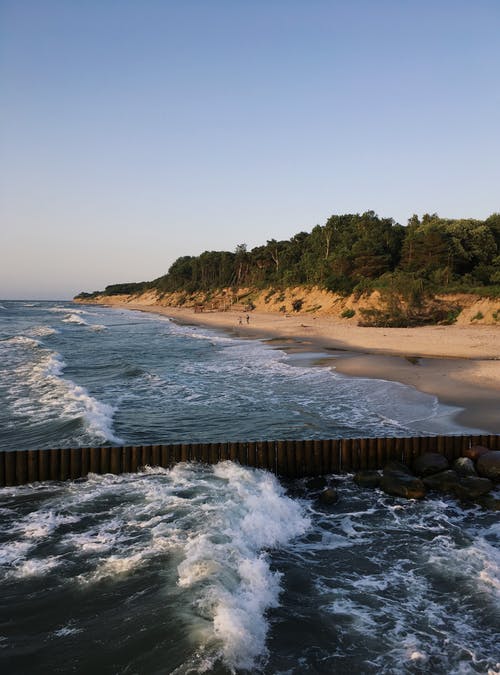 有关垂直拍摄, 天性, 岸边的免费素材图片