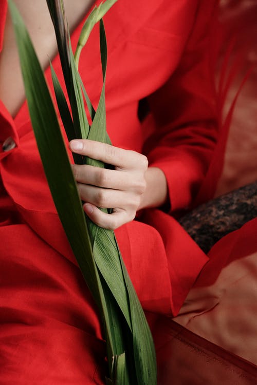 有关中等人群, 人的手, 人的手指的免费素材图片