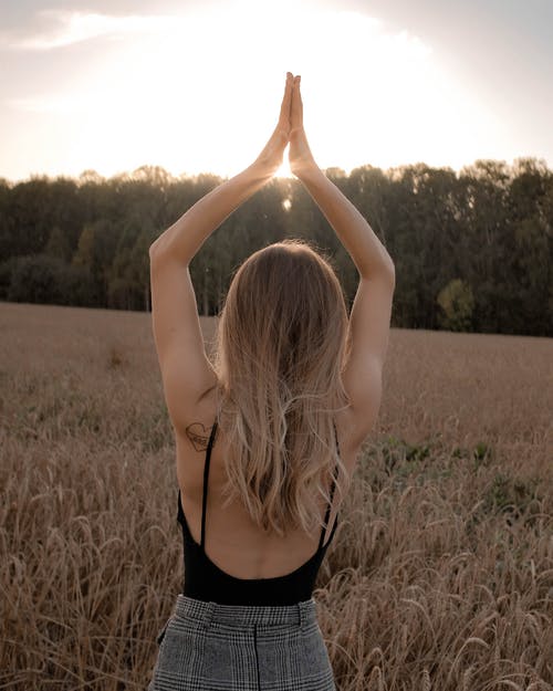 有关双手合十, 后视图, 女人的免费素材图片