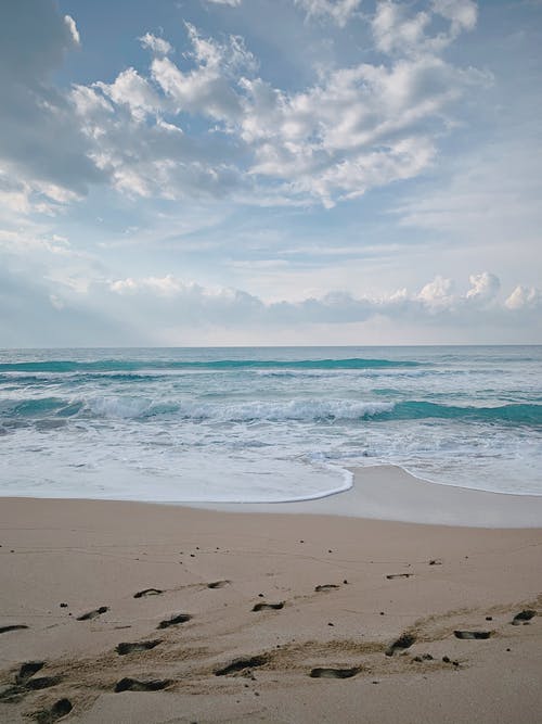 有关垂直拍摄, 天性, 岸边的免费素材图片