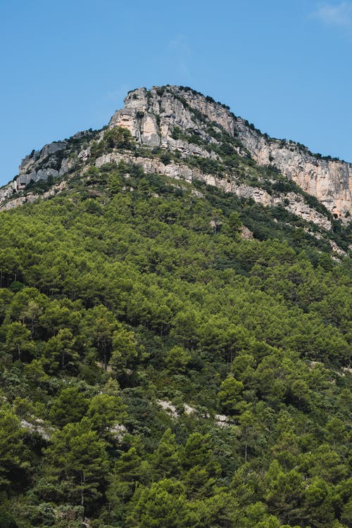 有关地质构造, 山边, 树木的免费素材图片