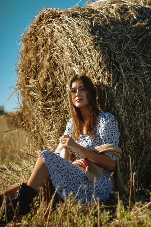 有关乾草场, 坐, 垂直拍摄的免费素材图片