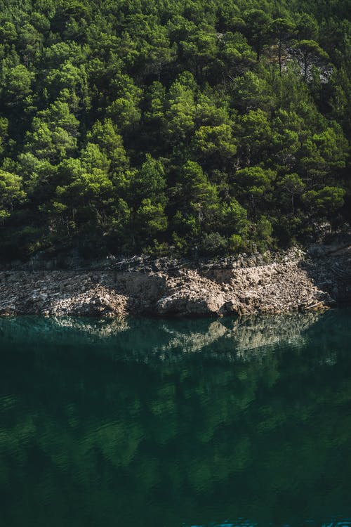 有关反射, 平静的水面, 树木的免费素材图片