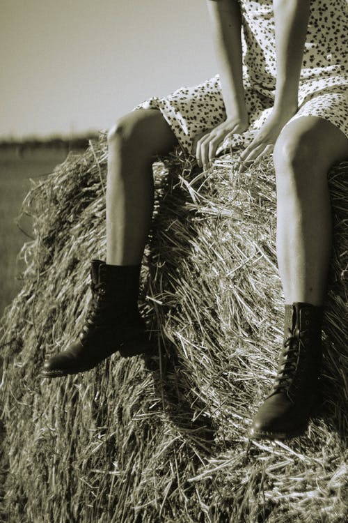 有关坐, 垂直拍摄, 干草卷的免费素材图片