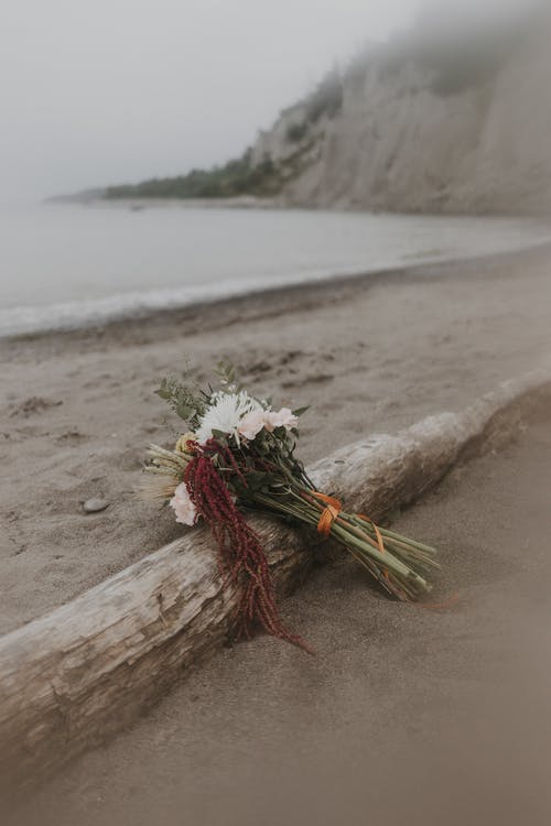 有关天, 悬崖, 户外的免费素材图片