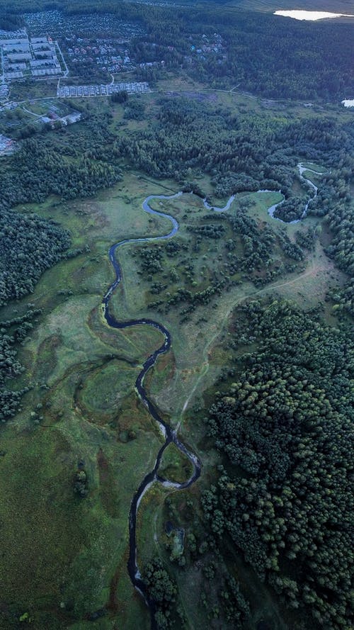 有关天性, 景观, 森林的免费素材图片