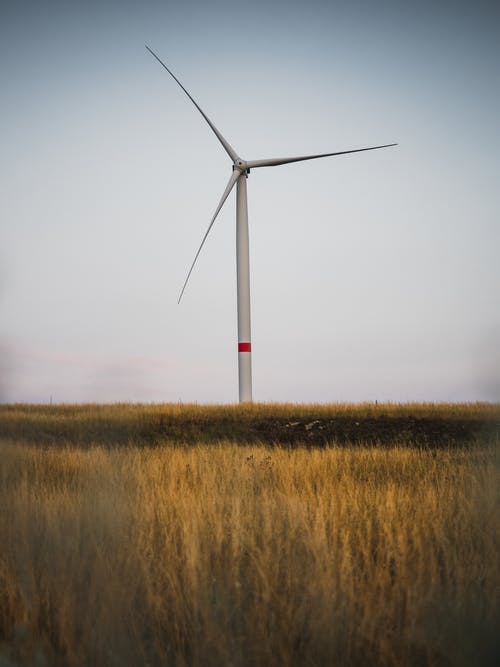 有关叶片, 旋转叶片, 替代能源的免费素材图片