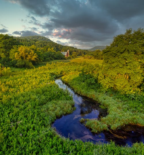 有关垂直拍摄, 天性, 小河的免费素材图片